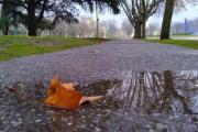 Domingo frío, húmedo y con algunas lluvias: cómo estará el tiempo en Necochea