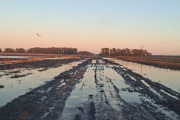 "La crisis era previsible": la Sociedad Rural cuestionó la falta de inversión en los caminos rurales