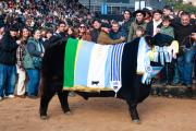 Rip, el toro de La Dulce, fue Gran Campeón Angus en Palermo