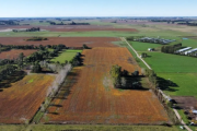 Tierras en manos extranjeras: Necochea y cinco distritos de la región suman más de 122.000 hectáreas