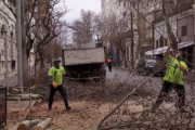 Denuncian presuntas irregularidades en la tala frente al Colegio de Abogados y piden investigar a funcionarios