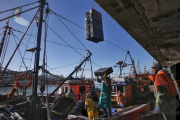 La pesca bonaerense reclama por la pérdida de actividad: “Nos están sacando del esquema productivo”