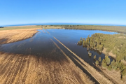 El Niño y los cultivos: qué puede pasar en el sudeste bonaerense, según 35 años de datos