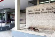 Puerto Quequén reúne a instituciones para debatir sobre salud mental, discapacidad y cuidados