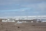 Frío, neblina y apenas 2 °C: así estará el lunes en Necochea y Quequén