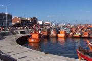 Alarma en el puerto de Mar del Plata: hay trabajo para menos de la mitad de los estibadores