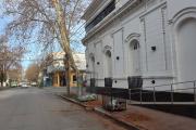 Tras la tala frente al Colegio de Abogados, convocan a vecinos al Concejo