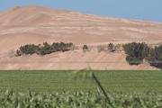 Tierras en manos extranjeras: Necochea y cinco distritos de la región suman más de 122.000 hectáreas