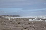 Necochea y Quequén: cómo estará el tiempo este viernes según el SMN