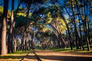Necochea y Quequén: cómo estará el tiempo este jueves 10 de septiembre
