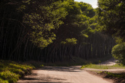 Necochea y el Parque Miguel Lillo: la charla que pone en foco tres temas sensibles