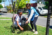 Provincia de Buenos Aires: cómo será la semana de descacharrado contra el dengue