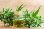 Mediterps organiza en Necochea una charla gratuita sobre cannabis medicinal y REPROCANN