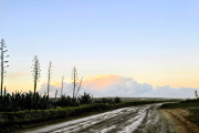 Miércoles fresco en Necochea y Quequén: ráfagas de 50 km/h y máxima de 14 °C