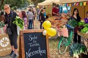 Sabe la Tierra vuelve al Parque Miguel Lillo: feria, taller gratis y plan por lluvia