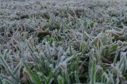 Necochea tendrá una mañana bajo cero y una máxima de 14 grados este lunes
