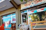 El dueño de Como Perro y Gato habló por Rulo: “Me hago cargo de lo sucedido”