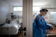 Alerta sanitaria en la Provincia: crecen la triquinosis, el hantavirus y la tuberculosis