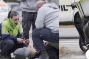 Una motociclista resultó herida tras chocar con un auto en Quequén y fue trasladada al hospital
