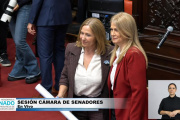 Valiante no ingresará al Senado: quién es Fiego, la reemplazante de Montenegro