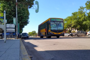 Colectivos en Necochea y Quequén: proponen bajar de 40 a 16 la flota mínima