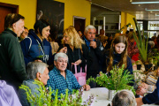 Entregarán plantas y plantines gratis en Necochea: cuándo y dónde retirarlos