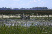 Nación declaró la emergencia agropecuaria en Necochea: qué sectores alcanza y qué beneficios prevé