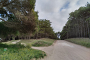 Chaparrones y ráfagas de hasta 50 km/h: cómo estará el viernes en Necochea y Quequén