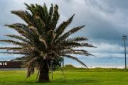 Clima en Necochea y Quequén: domingo con lluvias aisladas y una máxima de 14°C