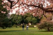 Viernes fresco y ventoso en Necochea y Quequén: ráfagas de hasta 50 km/h