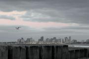 Domingo frío y nublado en Necochea y Quequén: se espera neblina y pocas chances de lluvia