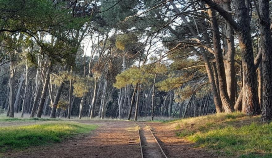 Clima en Necochea hoy cuál es el pronóstico del tiempo para el 26 de