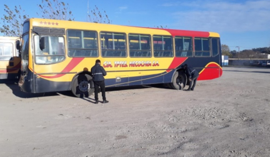 El futuro de los colectivos en Necochea: cambios en estudio y reclamos de los choferes